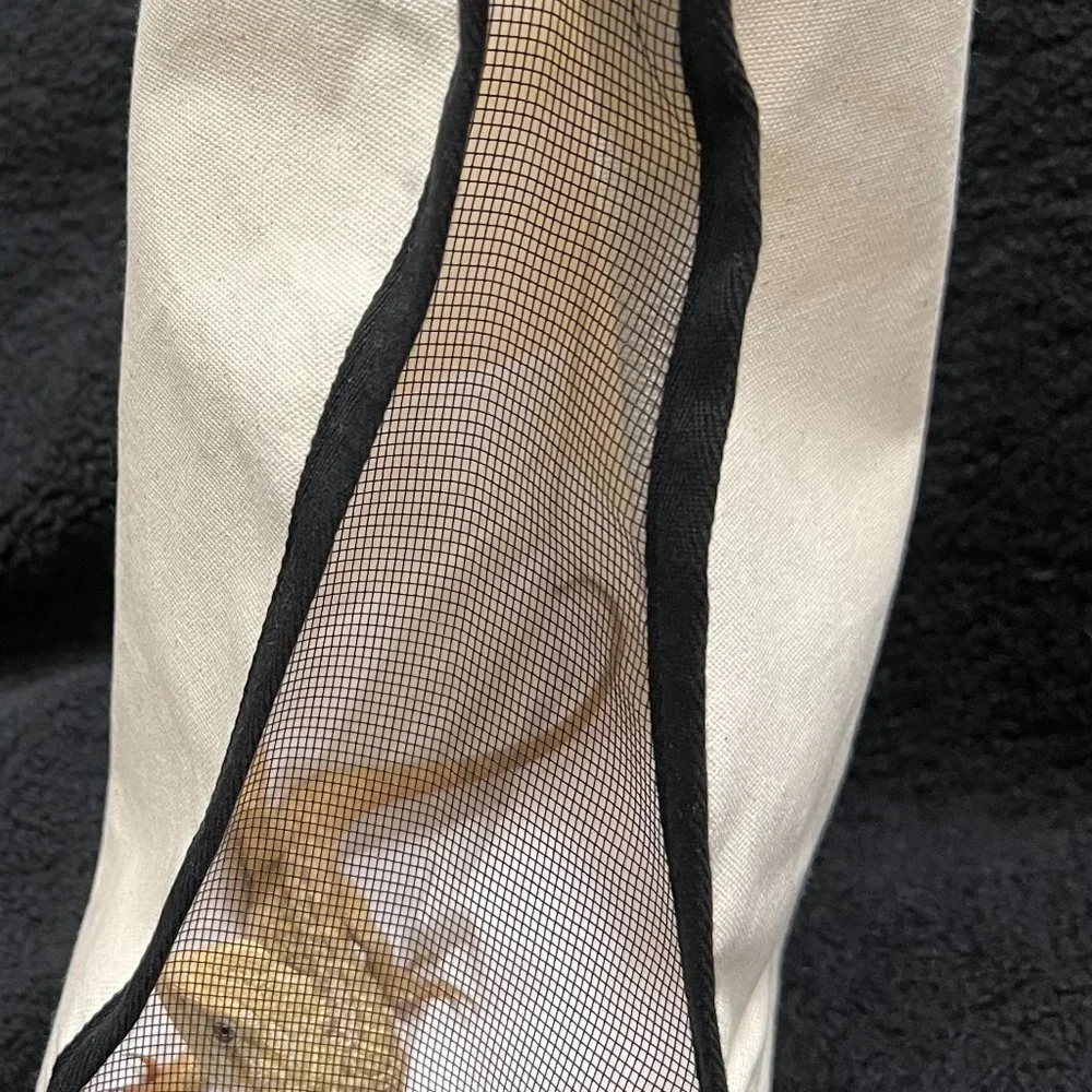 Pet Carrier for your Bearded Dragon